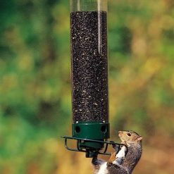 Alternative view of Droll Yankees Flipper Tube Bird Feeder, Green